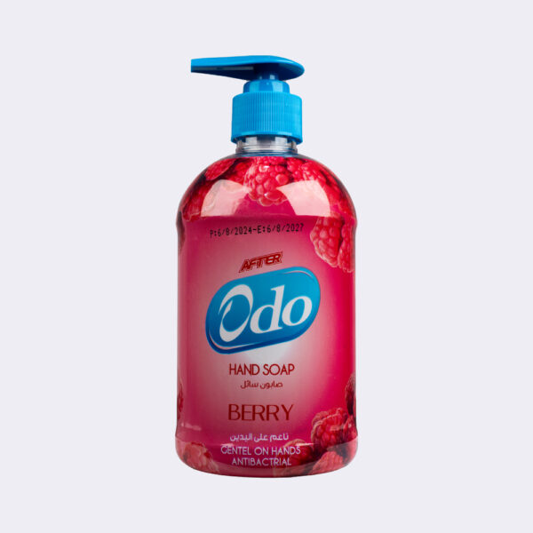 Handwash Liquid - Image 3